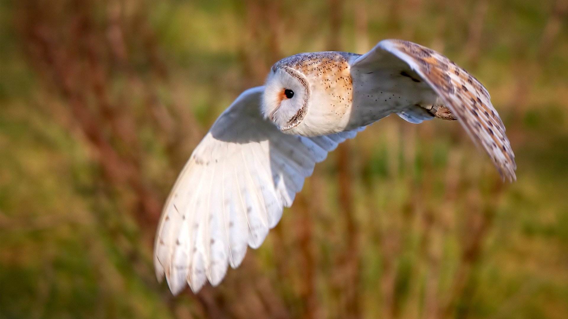 曾经的冠军如今的教练，传帮带推动台球发展