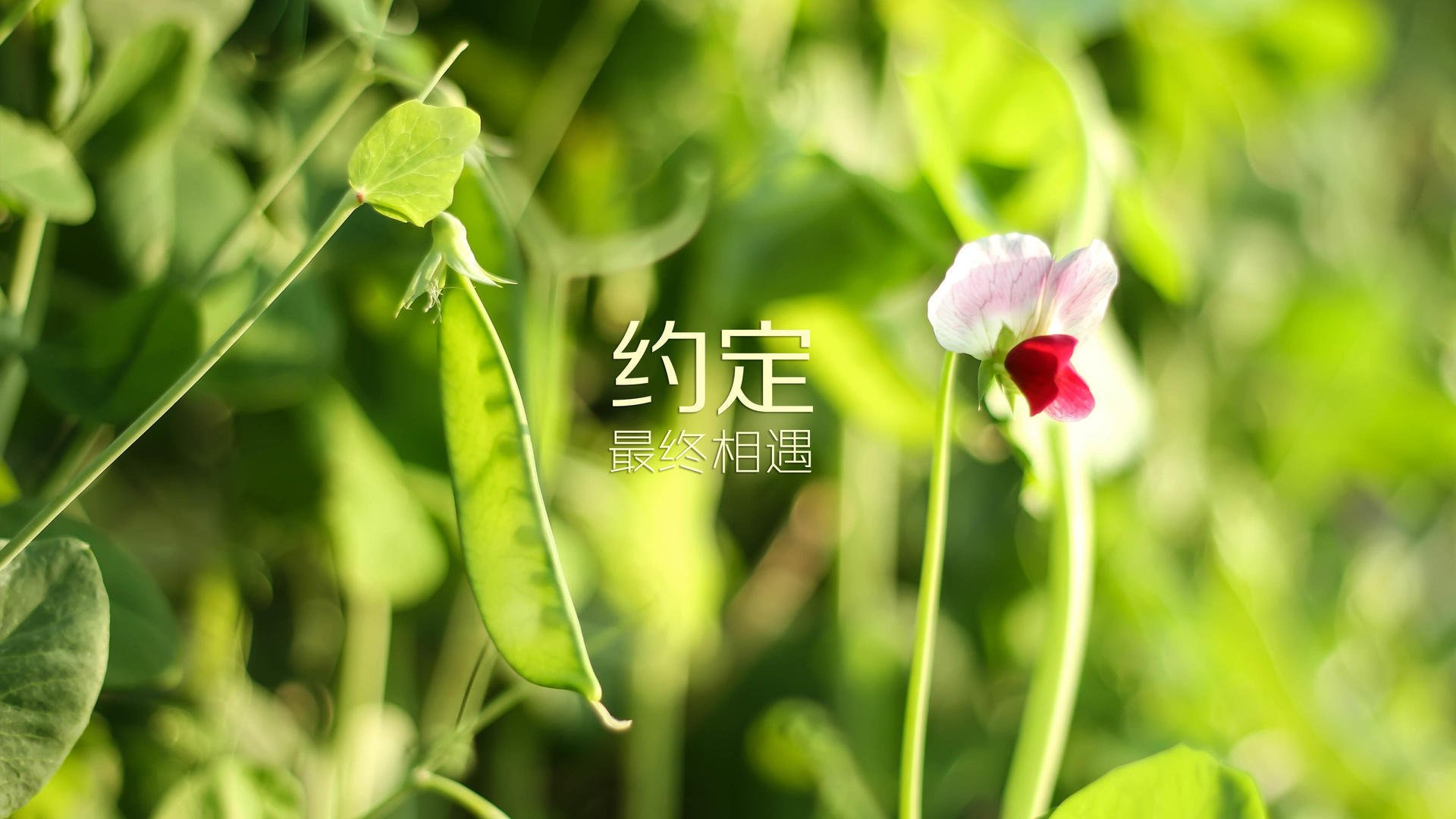 如何评判球员的历史地位，如何评判球员的历史地位呢