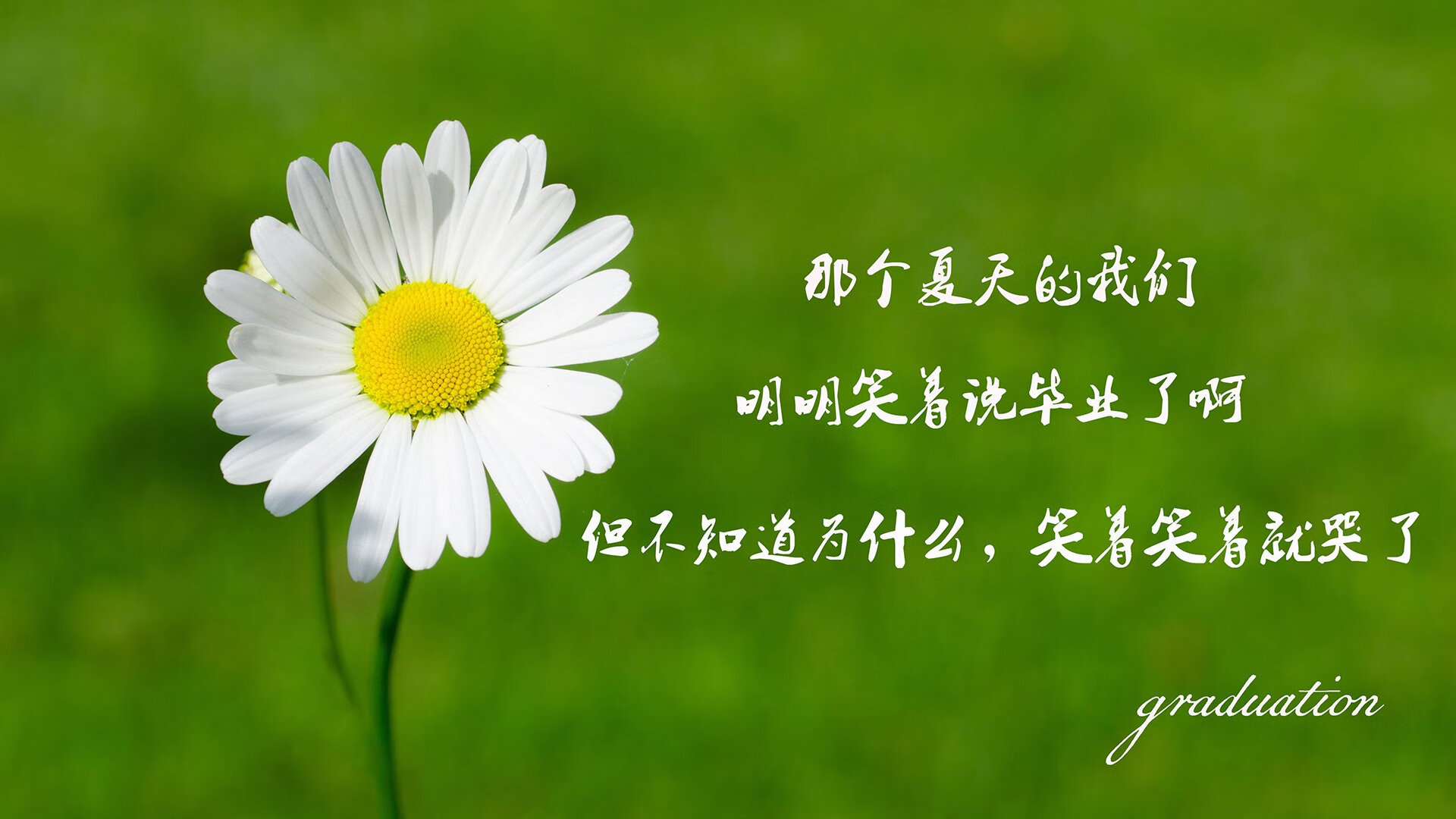 AYX GAME-快船球队年轻力量崛起迅速，快船队的球星