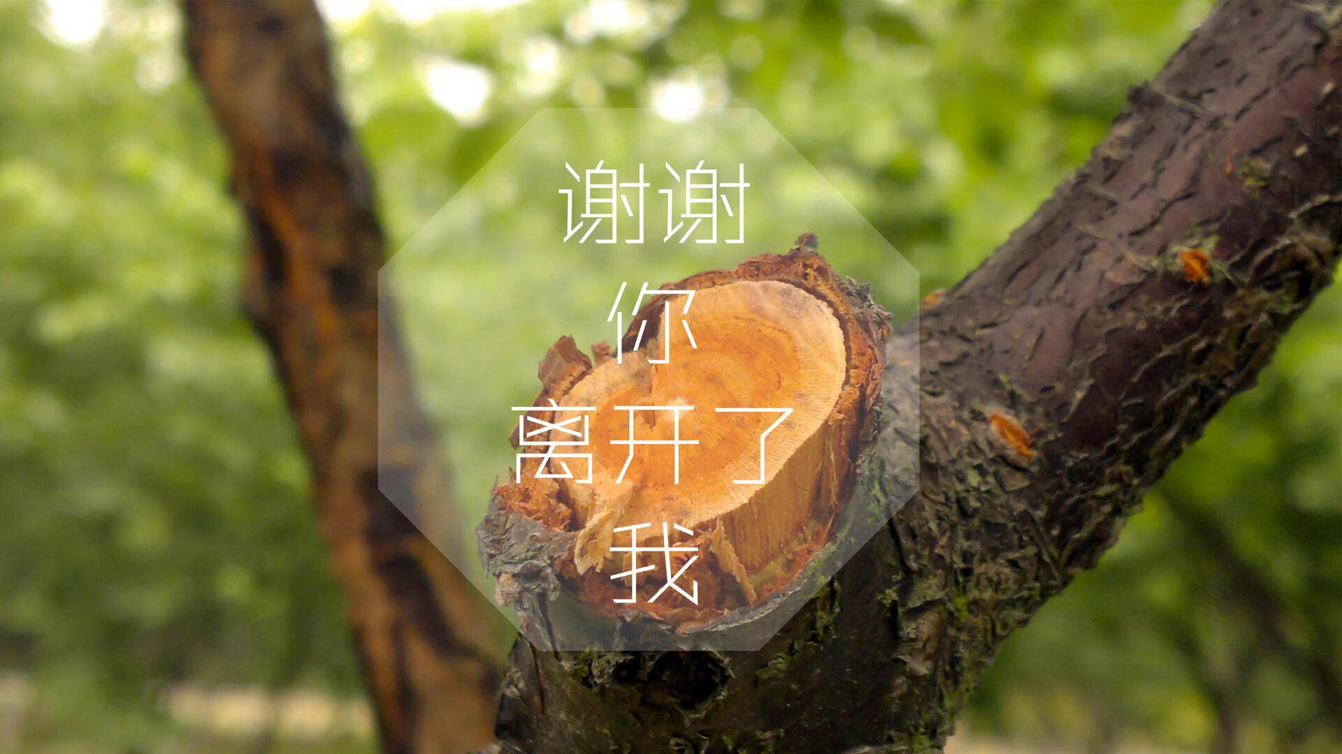 掘金依靠团队配合击败热火，掘金对队员