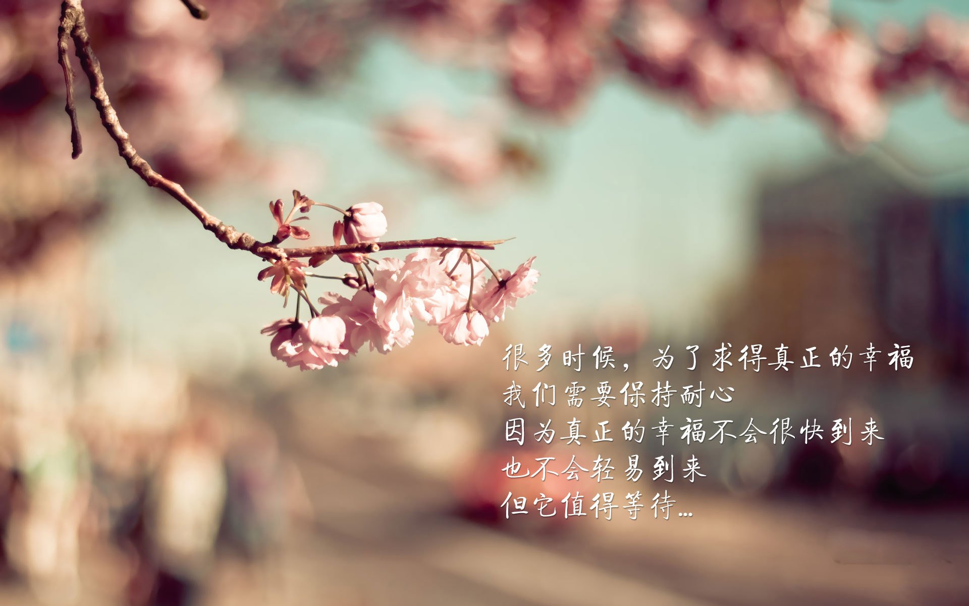 曼城势不可挡，擒敌如拾芥轻松进军四强，曼城silva