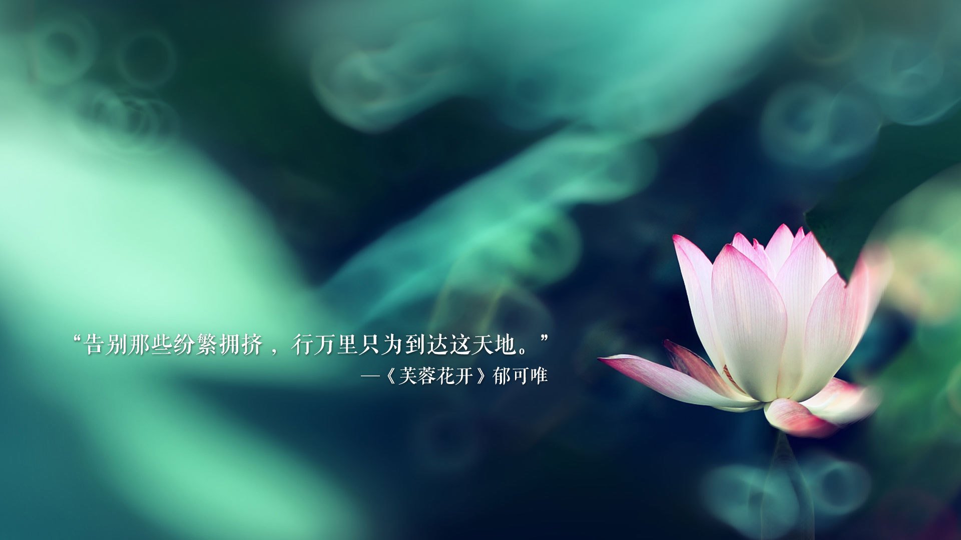 “成都滑轮赛：新星崭露头角，冠军争夺战一触即发”