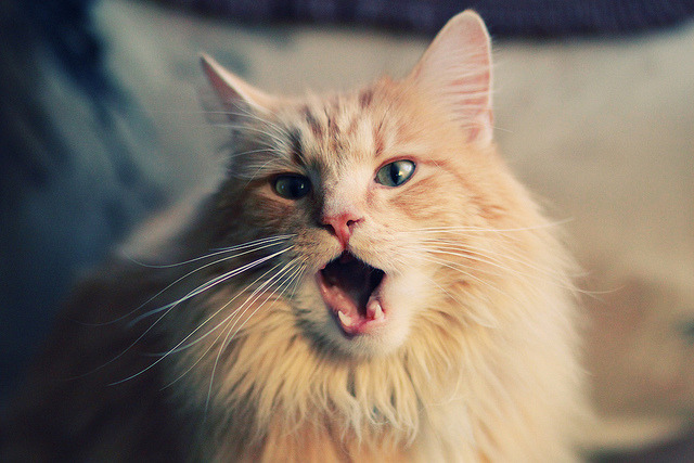 AI智能分析辅助球队战术制定,战术多元化升级