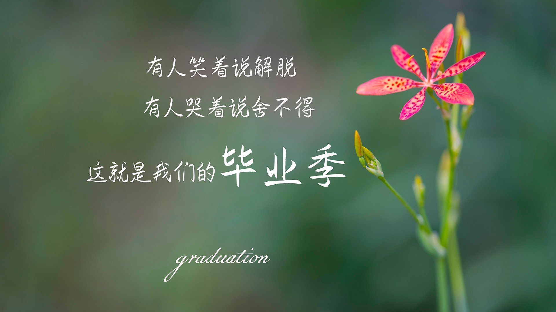 凯尔特人训练营首次开放媒体探访，凯尔特人训练馆箴言