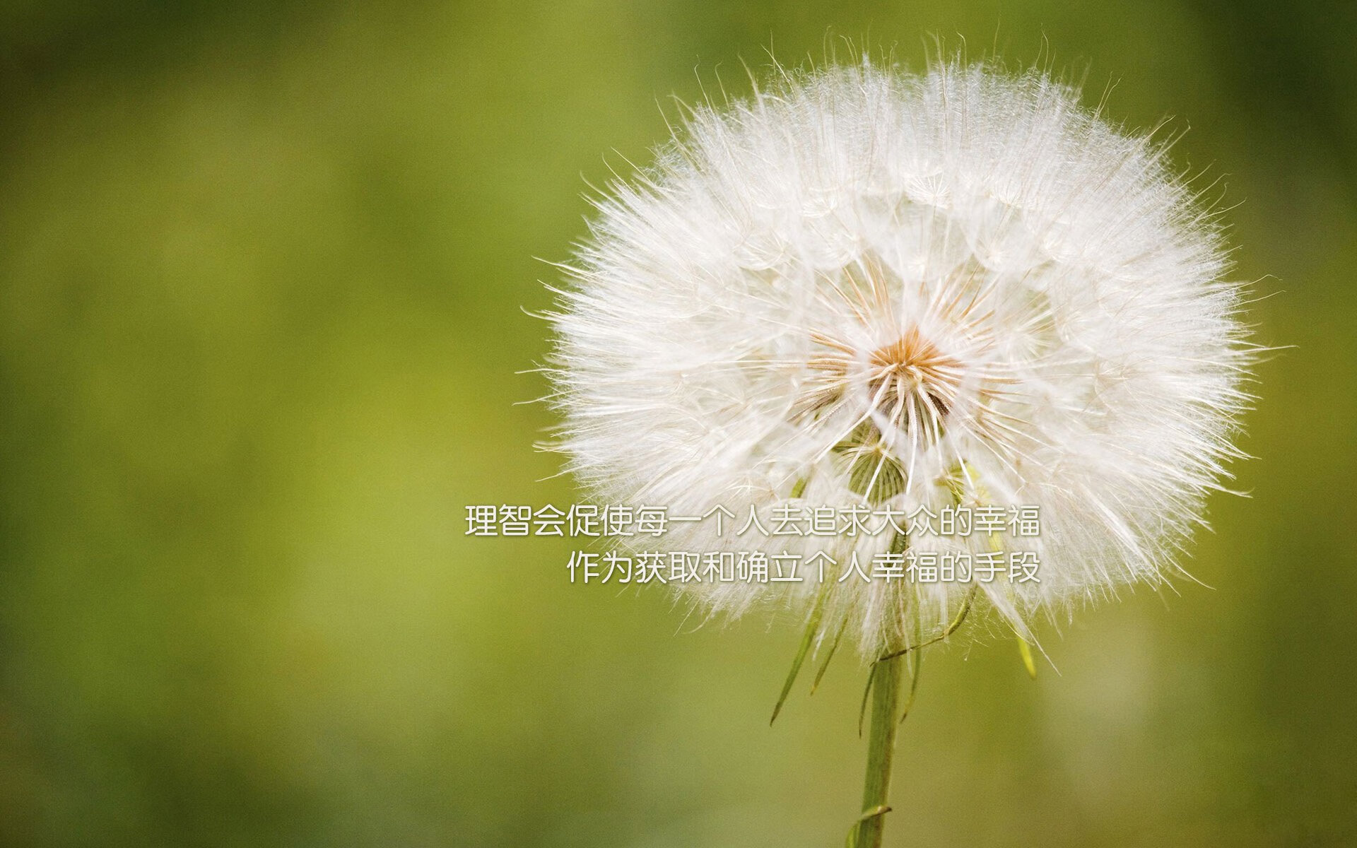 平台发布年度战术趋势分析报告我队被列为风格革新代表之一,最新战术