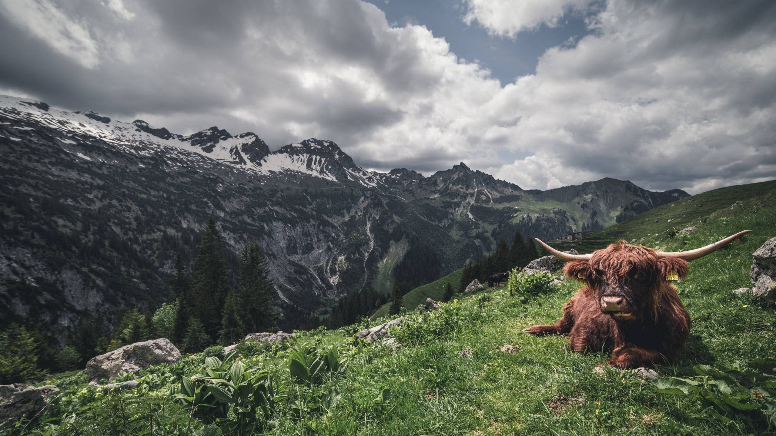 绿色节能足球场馆在多个城市落成，推动绿色体育发展，绿色节能设施有哪些