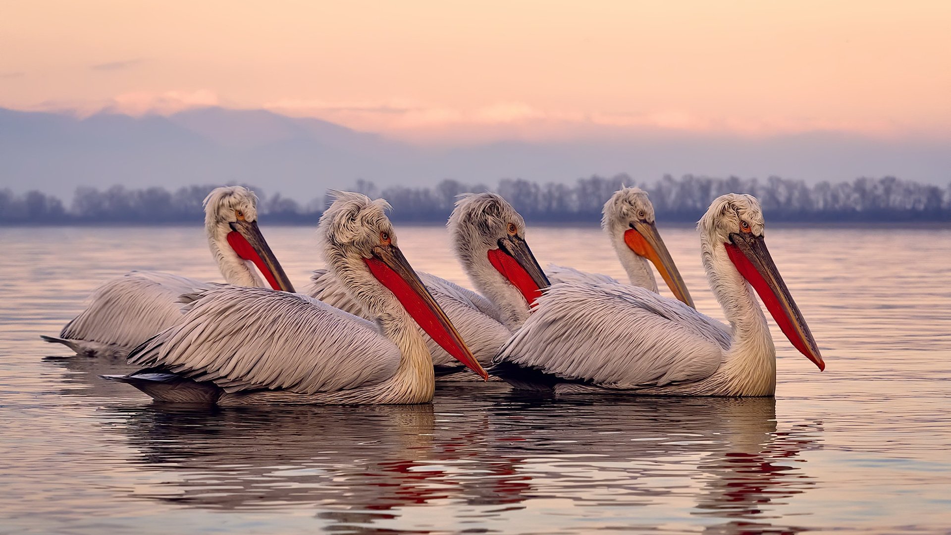 阿森纳青训持续突破，未来之星不断涌现