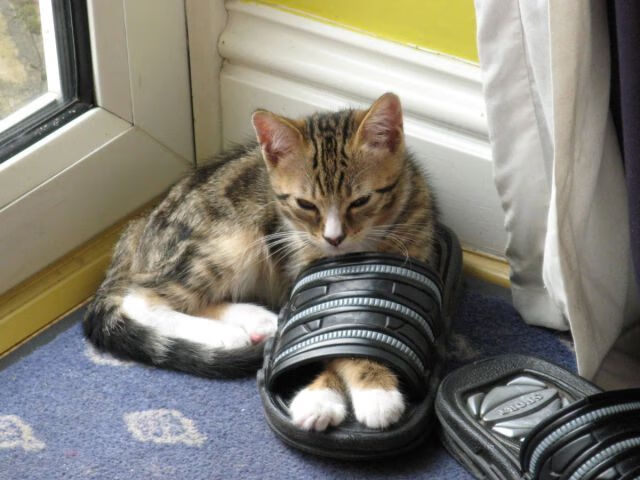 青年队赛前召开心理疏导会议帮助球员缓解比赛压力,赛前心理训练主要调整